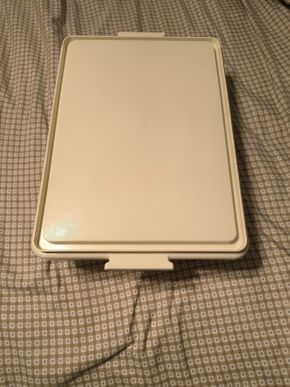 Tupperware Cream/White Food Storage Container with Snap Handles